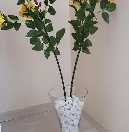 Rozsa Apartmanhaz Szeged
