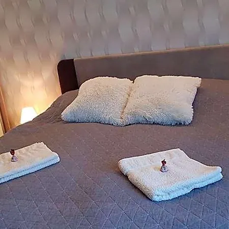 Rozsa Apartmanhaz 3* سيغيد