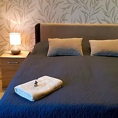 شقة فندقية Rozsa Apartmanhaz