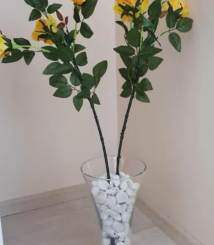 Rozsa Apartmanhaz Szeged